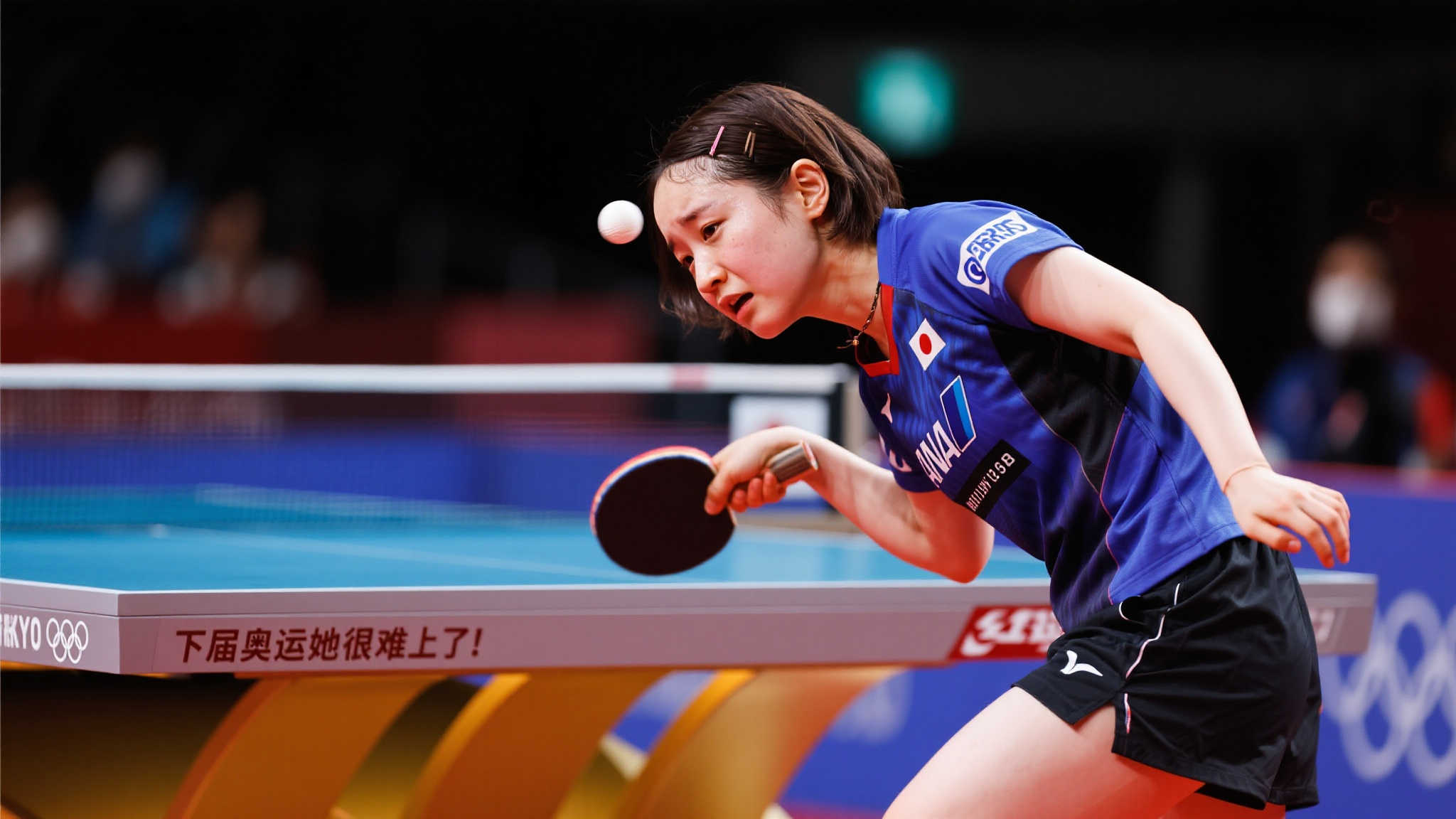 南安普敦憑 南安普敦憑