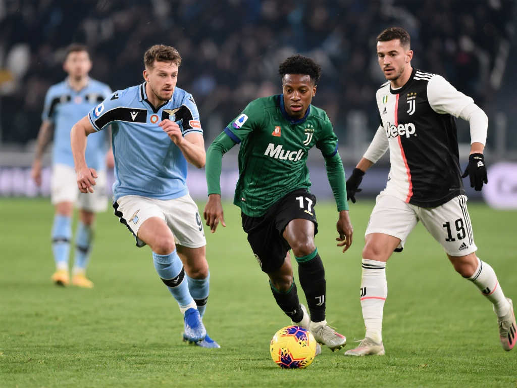 一项竞技运 一项竞技运